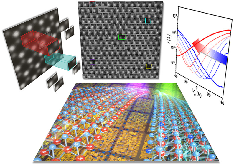 Figure. Identification of point defects in 2D semiconductors as active dopants (Nano Letters 2021)