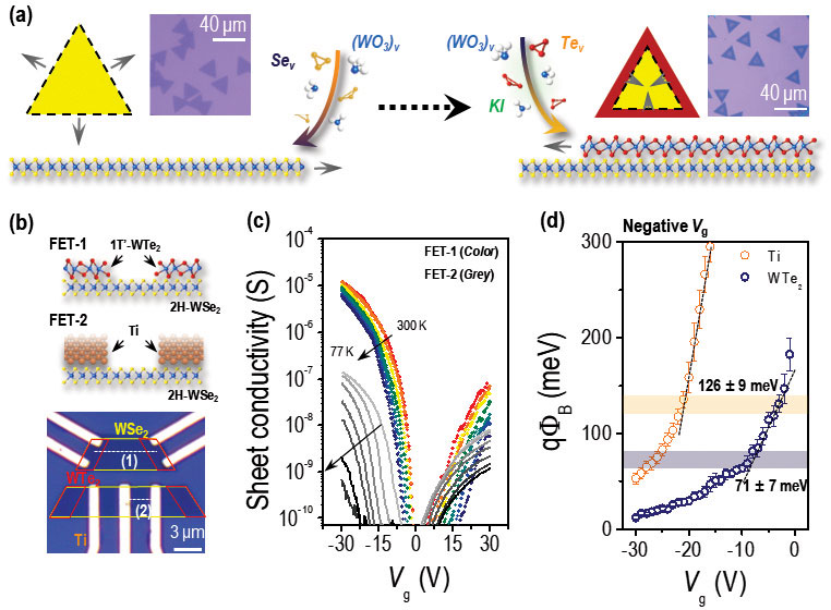 Figure 4. (a) Sequential growth scheme for heteroepitaxial stacking of 2H-WSe2 and 1T’-WTe2 monolayers (MLs). Inset: optical microscope images of ML WSe2 (left) and bilayer WTe2/WSe2 (right). (b) Illustration of our device scheme for comparison of vdW epitaxial metal (1T’-WTe2) contact (FET-1) with planar metal (Ti) contact (FET-2) and optical microscope image of vdW epitaxial contact devices. (c) Temperature-dependent Vg modulation of sheet conductivity (σ) at Vb = 50 mV for FET-1 (color scale) and FET-2 (gray scale). (d) Built-in potential energy (qΦbi) as a function of Vg for FET-1 (1T’-WTe2 contact, navy), FET-2 (Ti contact, orange).
